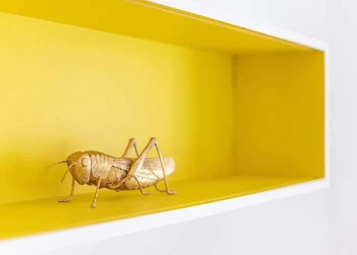 Cosy And Bright Saint Ignoto By Reside Baltic Apartament *